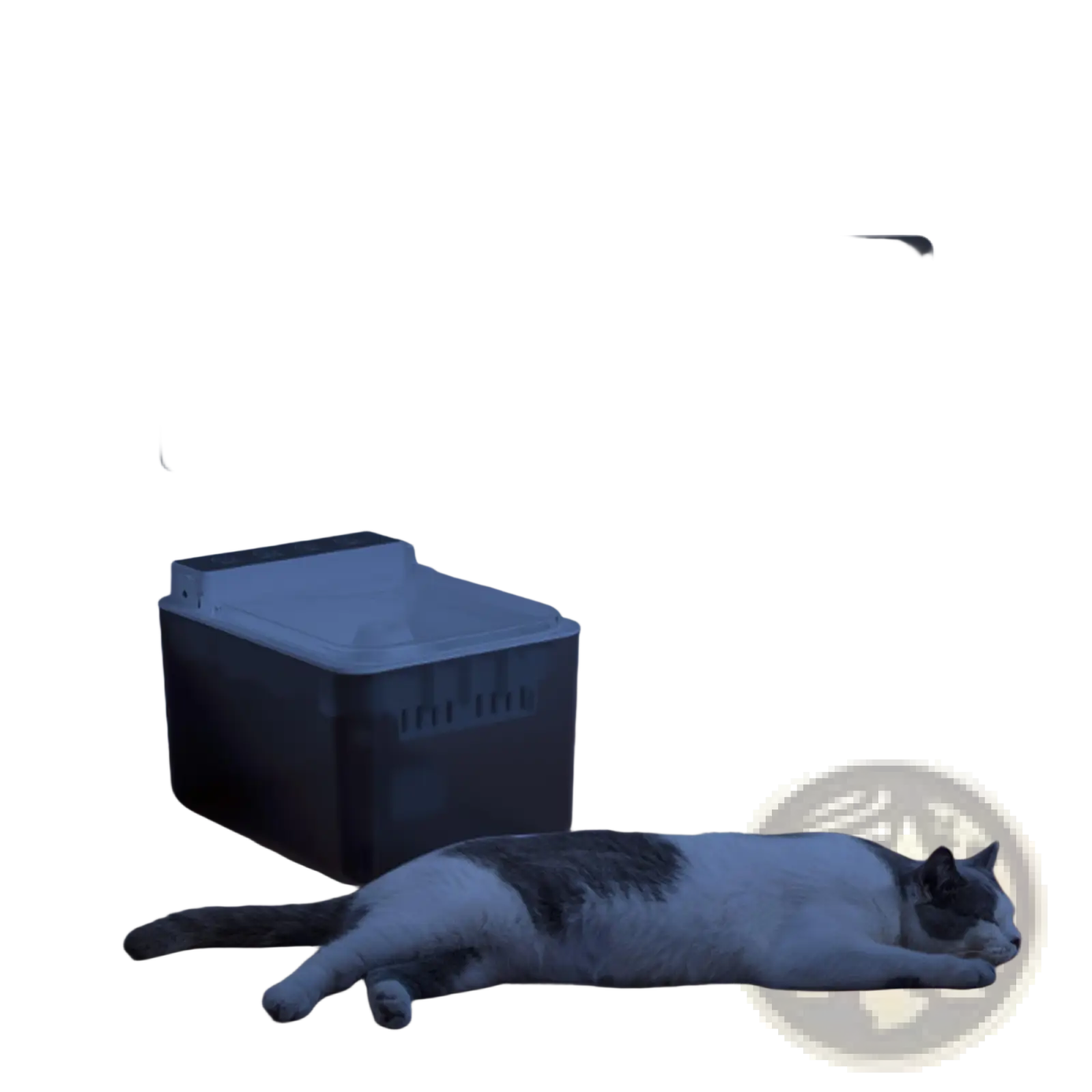 3l Radar Sensing Pet Water Fountain for Cats and Dogs