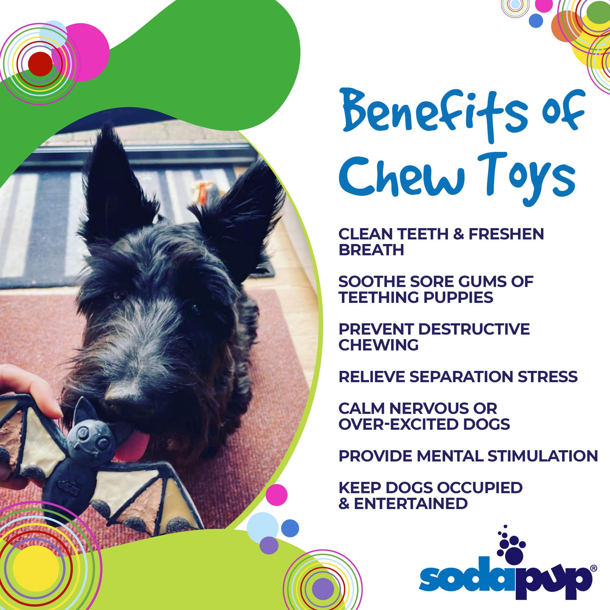 Vampire Bat Nylon Dog Chew Toy for Aggressive Chewers | USA Made &amp; FDA Compliant