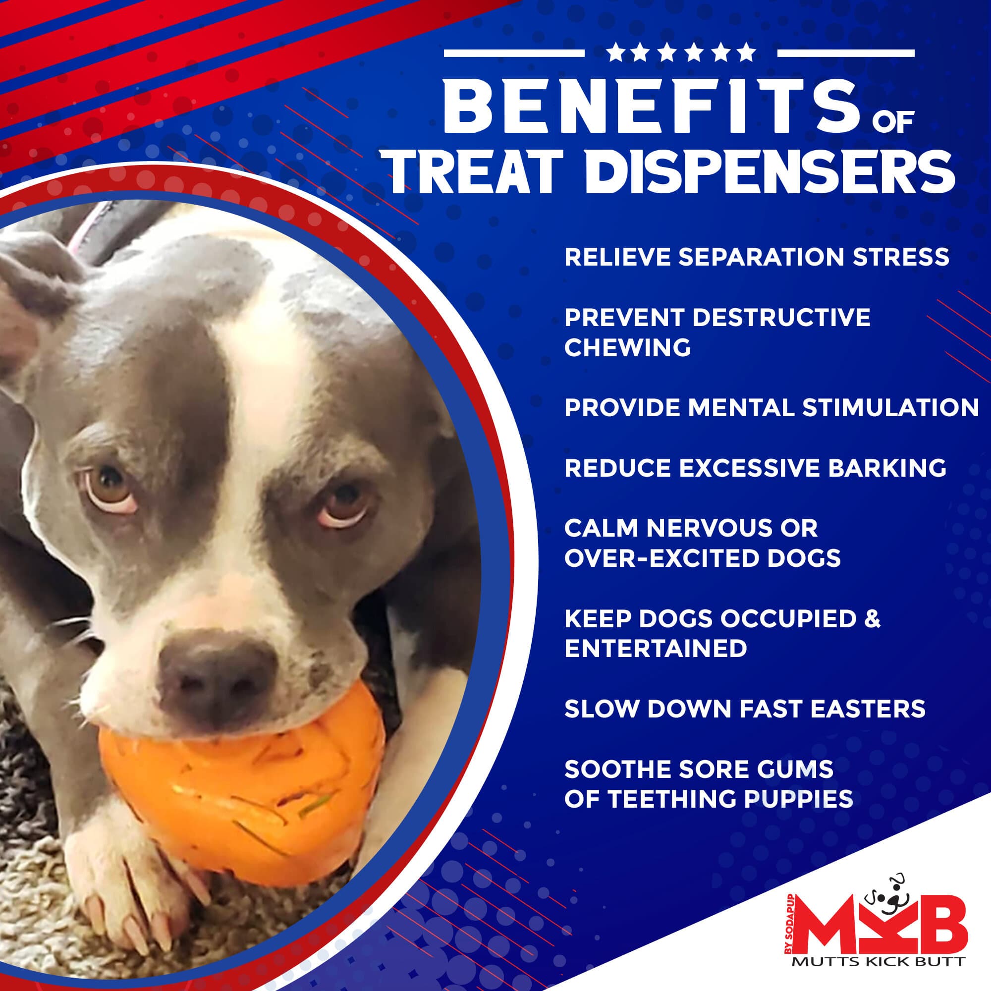 Roasted Turkey Dog Chew Toy &amp; Treat Dispenser - USA Made | SodaPup