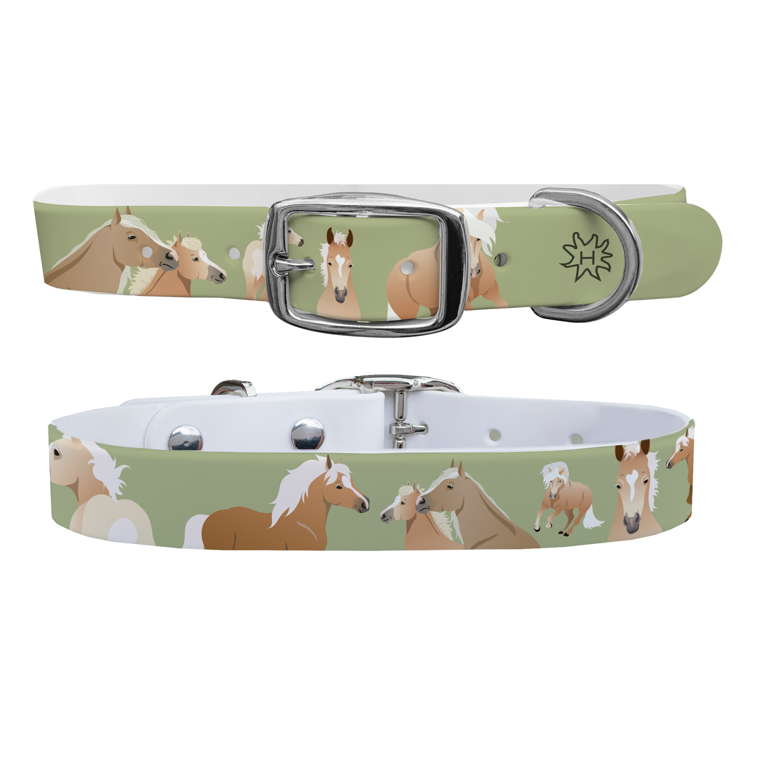 Haflinger Dog Collar