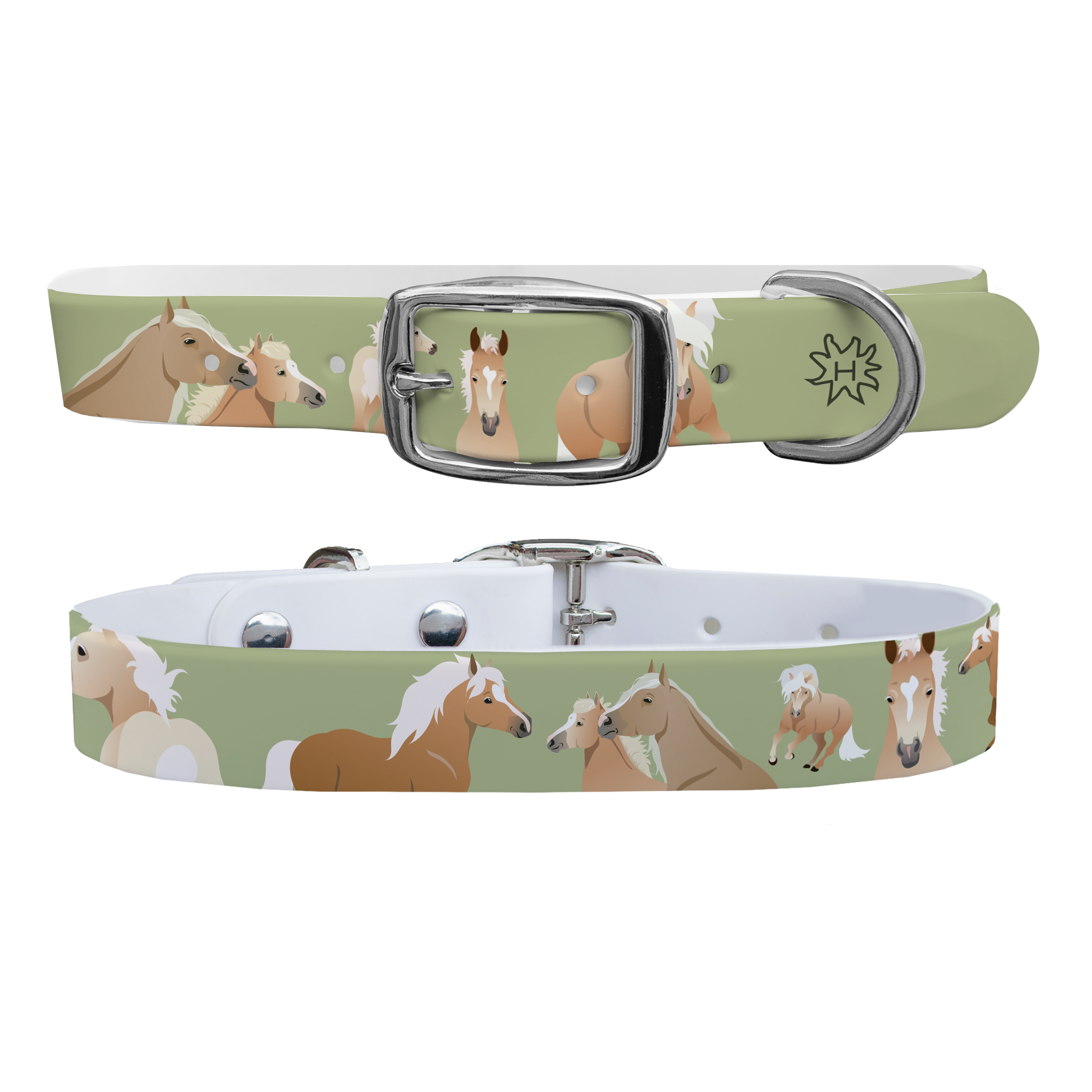 Haflinger Dog Collar