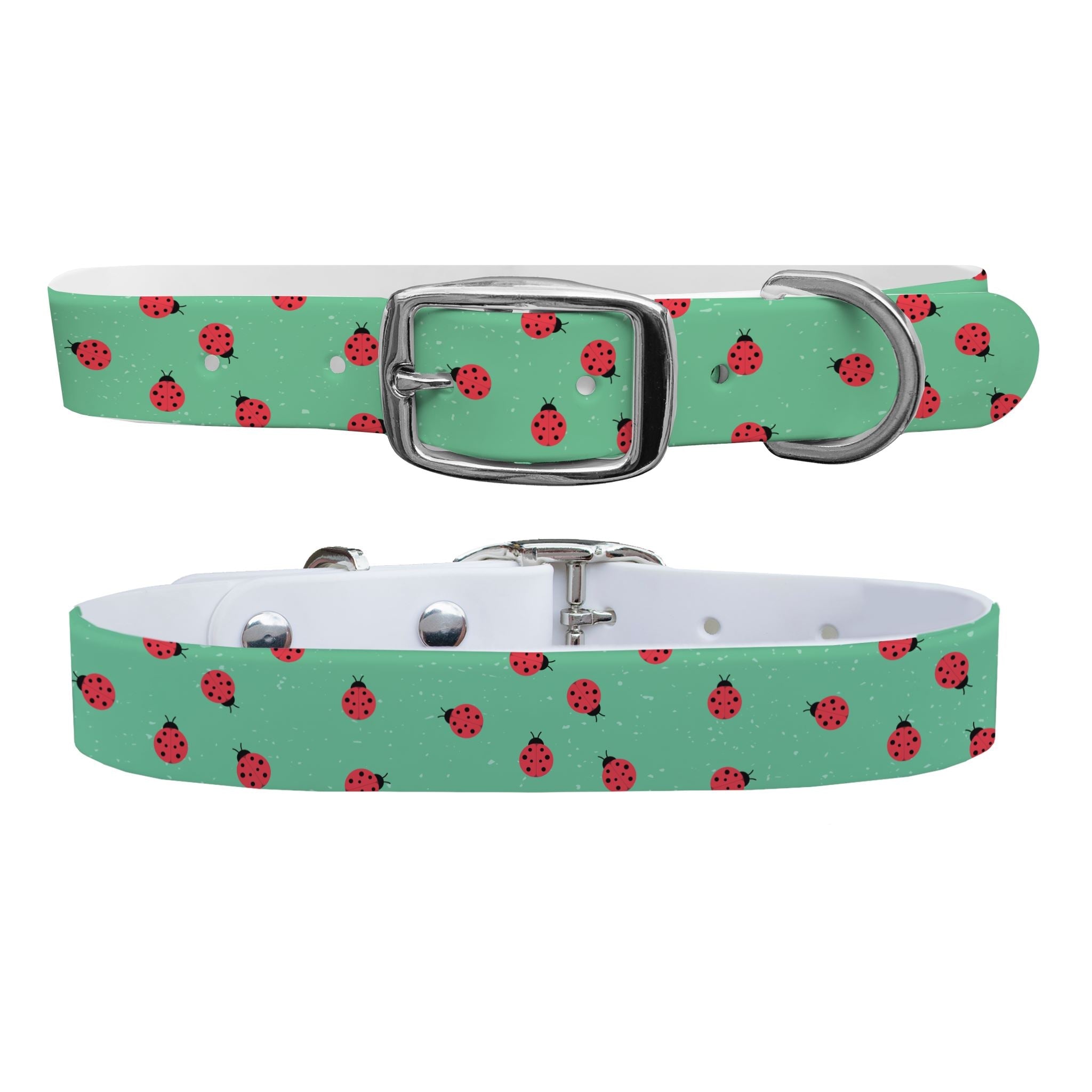 Ladybugs Dog Collar