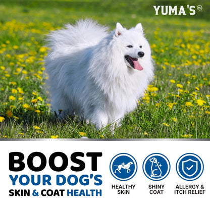Omega-3 Fish Oil for Dogs 170 Chews Skin &amp; Coat Supplement