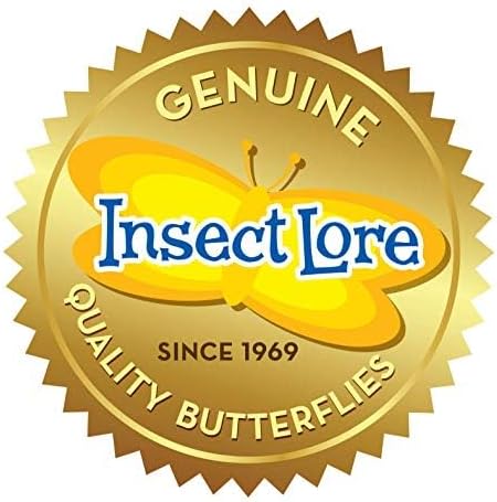 Insect Lore Butterfly Garden Kit – 10 Live Caterpillars, Habitat, STEM Journal, 2 Chrys-a-lid Holding Logs &amp; Feeder – Grow &amp; Release Painted Lady Butterflies – Educational Science Toy