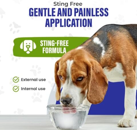 Colloidal Silver for Dogs &amp; Cat Wound Care, Immune Support &amp; Skin Solution - All Pet Health Care for Itch, Sores, Wounds, Hotspots &amp; More with Syringe (32 oz)