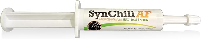 SynChill AF Calming Gel for Nervous Horses - Single Serving - Advanced Formula with L-Theanine, Increased Potency, 100% Natural Supplement, Disposition &amp; Confidence Support for Horses