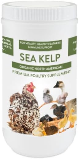Organic Kelp for Chickens &amp; Duck Feed (1 Pound): Chicken Vitamins | Chicken Supplements | Vitamins for Chickens | Pampered Chicken Mama