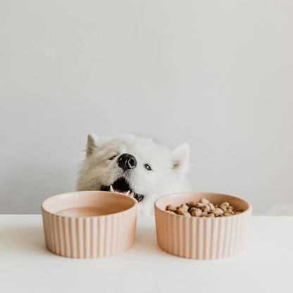 Waggo Ripple Ceramic Dog Bowl for Medium and Large Breeds - Modern with Matte Finish, Heavyweight Durable Pet Food and Water Dish Crock, Dishwasher Safe (Small, White)