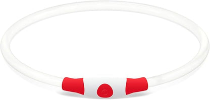 Led Dog Collar, BSEEN USB Rechargeable Flash Dog Necklace Light, Pet Safety Collar Makes Your Beloved Dogs Be Seen at Night for Small Medium Large Dogs(Red)