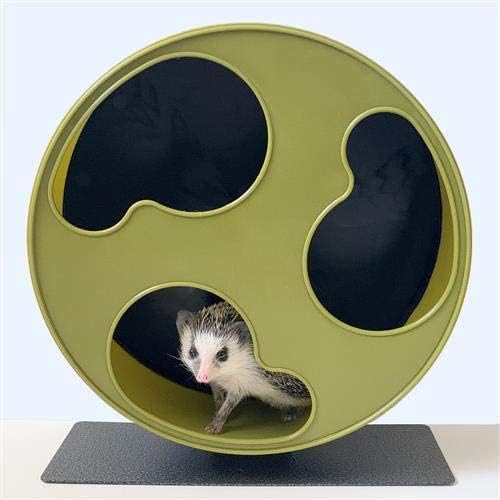 Silent Runner 12" Wide + Cage Attachment - Silent, Fast, Durable Exercise Wheel - Sugar Gliders, Degus, Rats, Hedgehogs, Prairie Dogs &amp; Small Pets