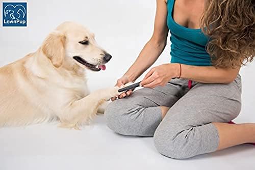 Dog Nail Filer, Professional Nail Grooming Tool, Dog and Cat Nail Files, for Smoothing Rough Edges of Pet’s Nails, Best Nail Filer for Small/Large Dogs &amp; Cats (1 Dog Nail Filer)