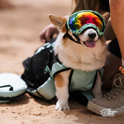 K9 Sport Sack Plus 2 - Medium, Summer Mint - Ideal for Dogs 17-19” Long - Adjustable, Backpack-Style Carrier with Multi-Functional Storage Pack, Thick Shoulder Straps &amp; Padded Back Panel