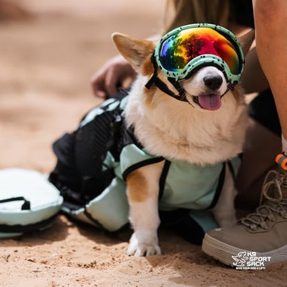 K9 Sport Sack Plus 2 - Small, Summer Mint - Ideal for Dogs 13-16” Long - Adjustable, Backpack-Style Carrier with Multi-Functional Storage Pack, Thick Shoulder Straps &amp; Padded Back Panel