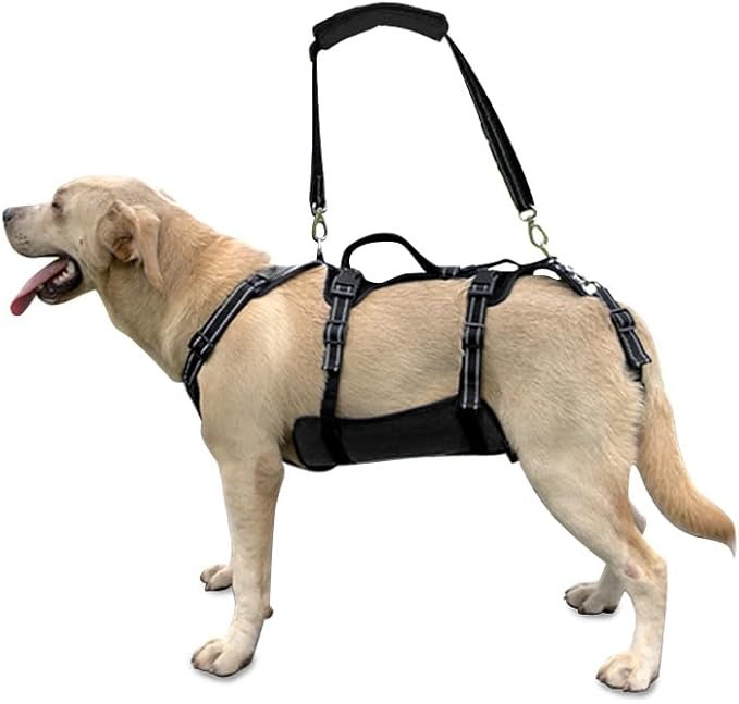 Coodeo Dog Lift Harness, Support &amp; Recovery Sling, Pet Rehabilitation Lifts Vest Adjustable Breathable Straps for Old, Disabled, Joint Injuries, Arthritis, Paralysis Dogs Walk (Black,L)