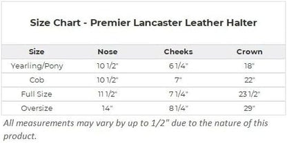 Dura-Tech Premier Lancaster Leather Halter for Horses | Simple Economy Leather Halter with Adjustable Fit &amp; Solid Brass Hardware