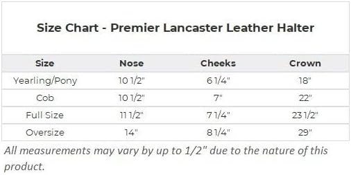 Dura-Tech Premier Lancaster Leather Halter for Horses | Simple Economy Leather Halter with Adjustable Fit &amp; Solid Brass Hardware