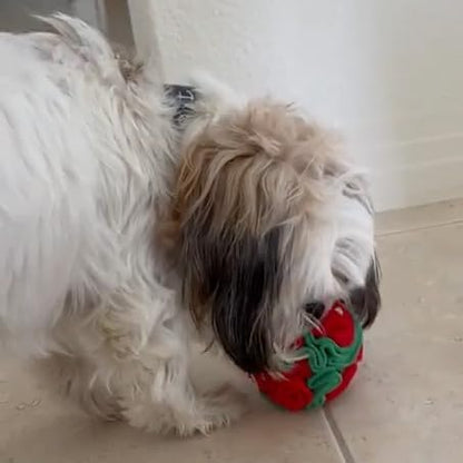 Puppy and Small Breed Snuffle Interactive Foraging Dog Puzzle Ball Toy Christmas Green and Red