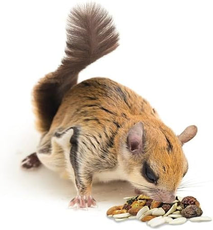 Squirrel Complete (1.75 lb.) - Healthy Natural Food - Nutritionally Complete Diet for Pet &amp; Captive Squirrels - Ground, Grey, and Flying Squirrels, &amp; Chipmunks