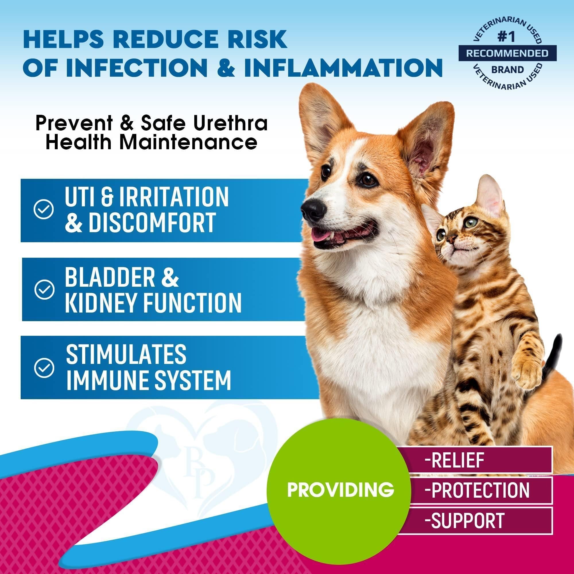 Cat &amp; Dog UTI Treatment Drops Cranberry Urinary Support