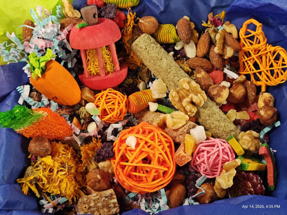 Play &amp; Chew Rodent Fun  "No More Boredom" Box - Rats, Mice, Gerbils, Hamsters...