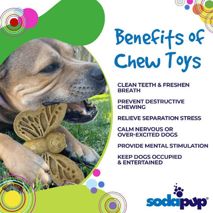 Butterfly Nylon Chew &amp; Enrichment Toy | 2-in-1 for Aggressive Chewers | SodaPup