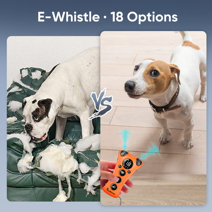 PawBehave Adjustable Ultrasonic Dog Trainer – World&