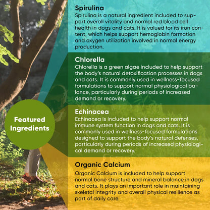 Spirulina &amp; Chlorella