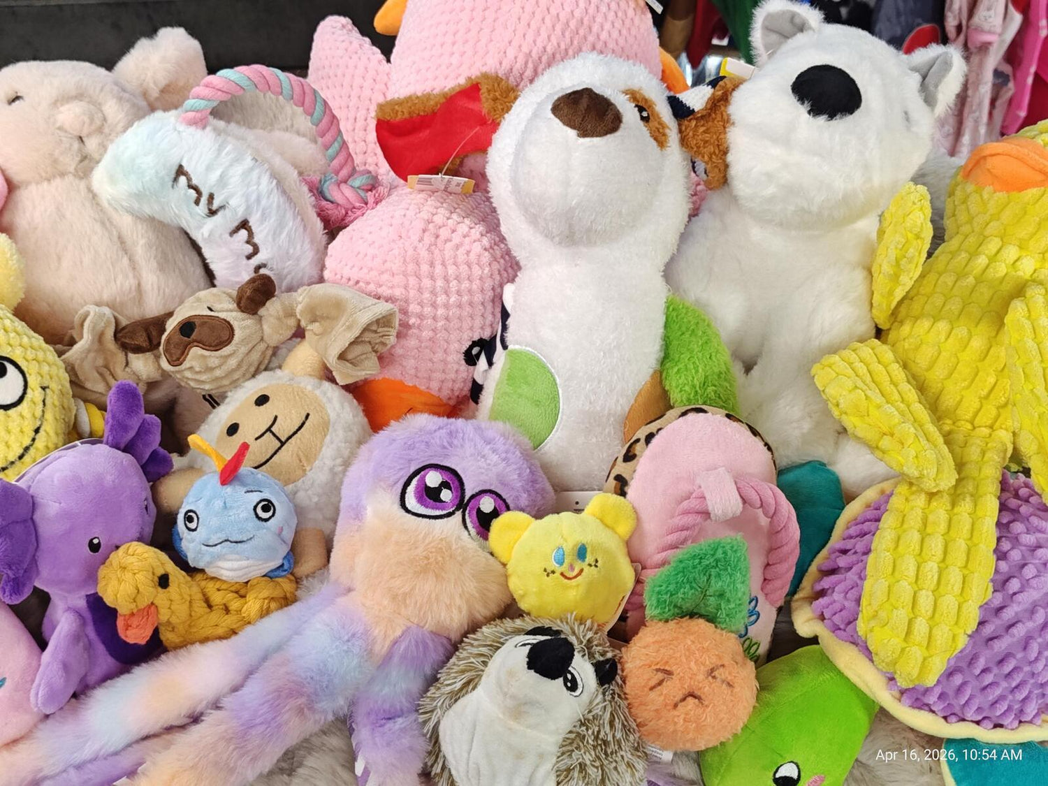 "My Toy Box" Mystery Stuffed Assorted TOY Box