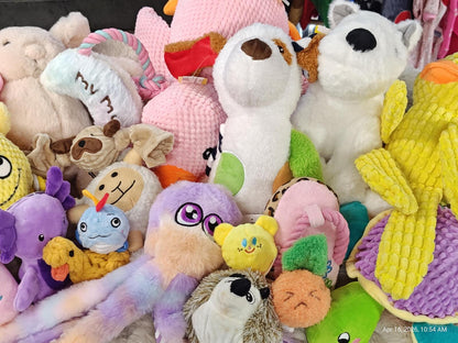 "My Toy Box" Mystery Stuffed Assorted TOY Box