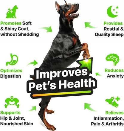 Hemp &amp; Salmon Oil for Dogs Omega 3-6-9 Skin &amp; Coat 1 fl oz