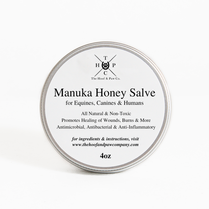 Manuka Honey Salve for Dogs, Horses &amp; Humans
