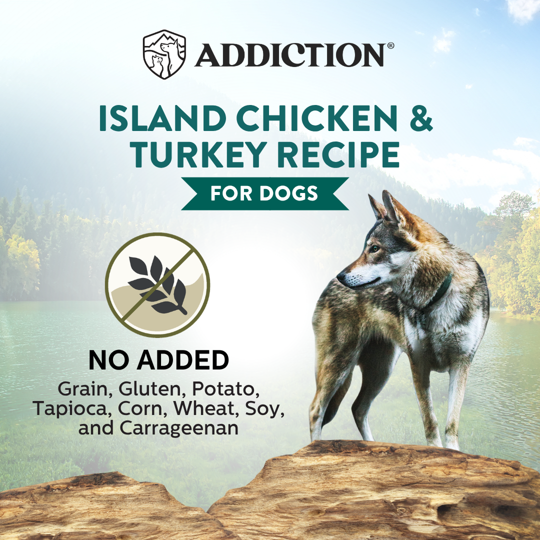 Wild Islands Island Chicken &amp; Turkey Recipe Premium Grain-free Canned Dog Food 185g