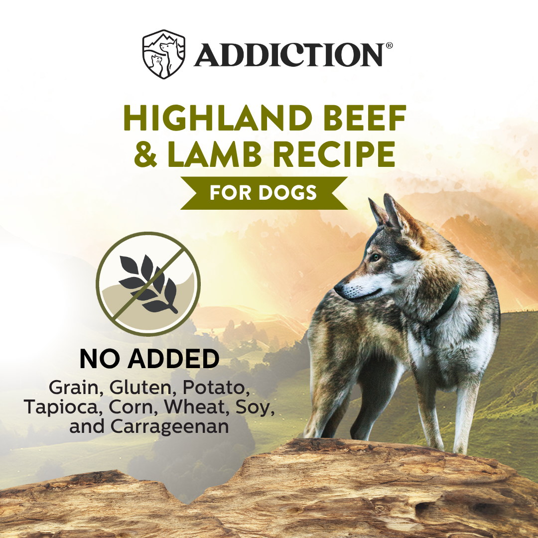 Wild Islands Highland Beef &amp; Lamb Recipe Premium Grain-free Canned Dog Food 185g