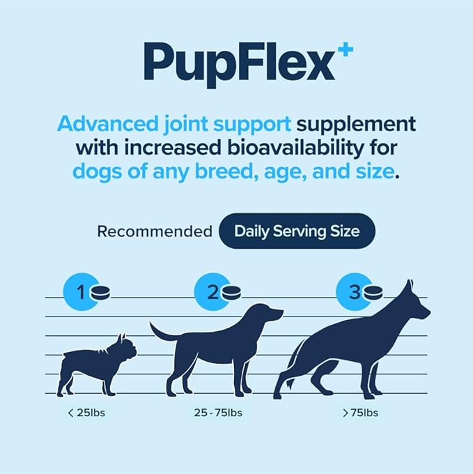 PupFlex+ Hip and Joint Supplement Dogs, Vet Created Soft Chews with UC-II® Collagen for Dogs, CurcuVET® &amp; Omega 3, Proven More Effective Than Glucosamine Chondroitin, Dog Joint Supplement (60 ct)