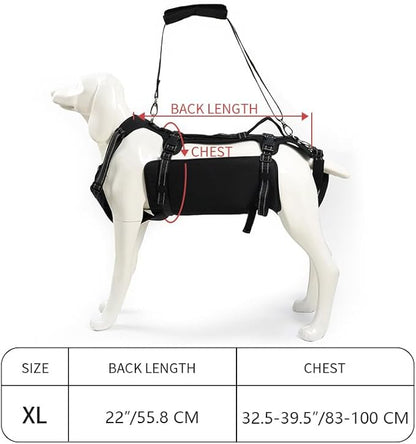 Coodeo Dog Lift Harness, Support &amp; Recovery Sling, Pet Rehabilitation Lifts Vest Adjustable Breathable Straps for Old, Disabled, Joint Injuries, Arthritis, Paralysis Dogs Walk (Black,XL)