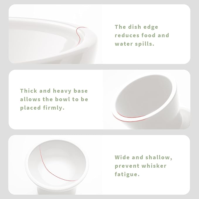 Extra Wide Elevated Ceramic Cat Bowl - 6.2" Shallow Dish for Whisker Fatigue Relief, 5" Height for Easy Feeding, Lead &amp; Cadmium Free, Durable Raised Cat Food Bowls, White