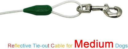 Petest 16 Inch Spiral Stake with 15ft Reflective Tie-Out Cable for Medium Dogs Up to 60 Pounds DarkGreen &amp; Silver