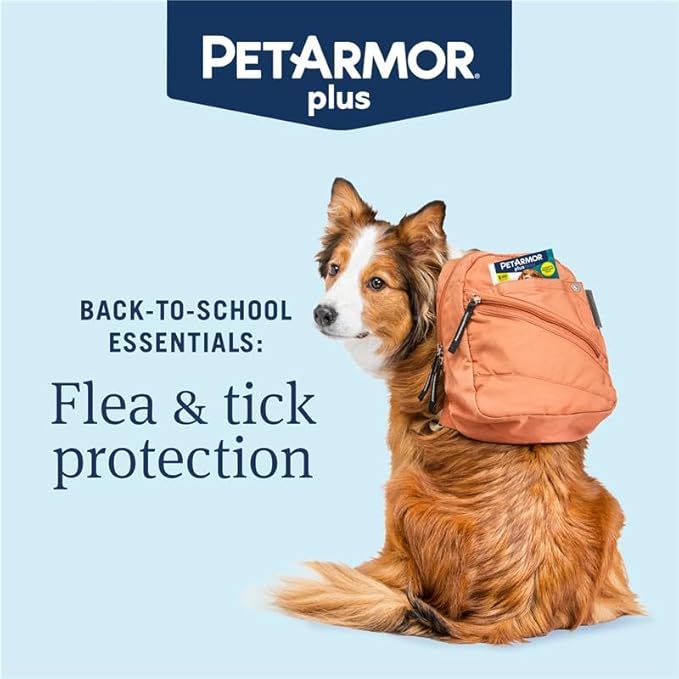 PetArmor Plus for Dogs Flea and Tick Prevention for Dogs, Long-Lasting &amp; Fast-Acting Topical Dog Flea Treatment, 6 Count, small