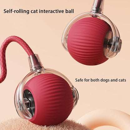 2 Packs Interactive Cat Toy Ball for Indoor Cats - 3-Speed Smart Rolling Ball with Flashing Lights, USB Rechargeable Automatic Motion Kitten Toys for Bored Adult Cats &amp; Playful Kittens