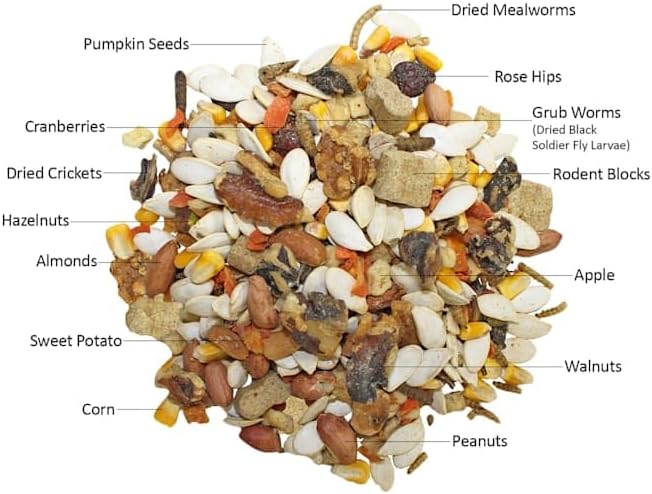 Squirrel Complete (1.75 lb.) - Healthy Natural Food - Nutritionally Complete Diet for Pet &amp; Captive Squirrels - Ground, Grey, and Flying Squirrels, &amp; Chipmunks