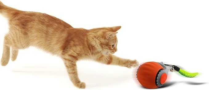 Smart Speedy 3.0 Interactive Cat Ball with Auto Obstacle Avoidance - Indoor Kitten Toy for Mental Stimulation &amp; Playtime Fun ，2025 Edition (Orange)