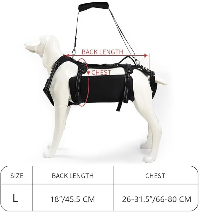 Coodeo Dog Lift Harness, Support &amp; Recovery Sling, Pet Rehabilitation Lifts Vest Adjustable Breathable Straps for Old, Disabled, Joint Injuries, Arthritis, Paralysis Dogs Walk (Black,L)