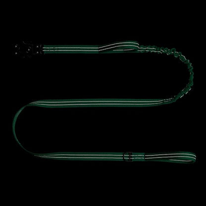ICEFANG Tactical Dog Leash,K9 Training Walking Bungee Lead with 2 Control Handle,Heavy Duty Quick Release Metal Clasp,for Medium Large Breed (Teal, 6 FT)