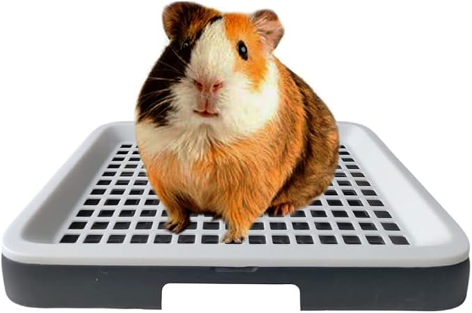 Guinea Pig Litter Tray Pan with Grate for Cage - Small Animal Potty Trainer - Rattie, Chinchilla, and Pet Litter Box - Easy-Clean, Space-Saving Design - 9.8x7.6x1.18 in