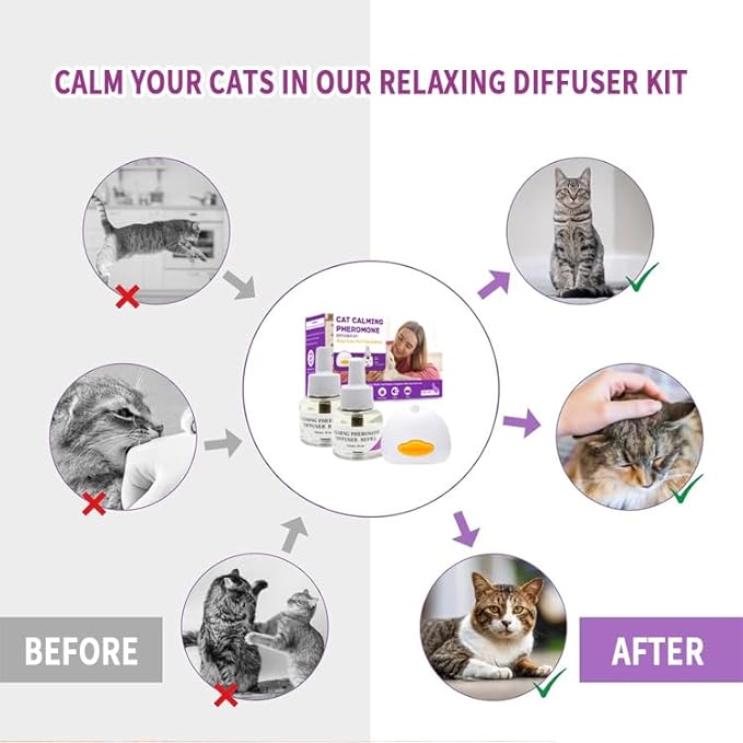 Calming Pheromone Diffuser Kit for Cats, Reduces Fighting, Spraying &amp; Scratching (48 mL)