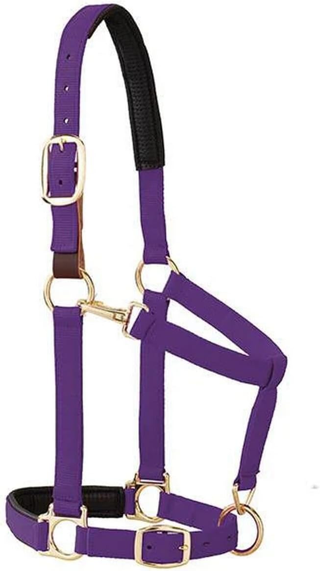 Weaver Equine Breakaway Horse Halter, Comfort Foam Padding, Adjustable Chin &amp; Throat Snap Halters for Horses, Equine Tack,Average Size, Purple