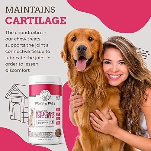 Paws &amp; Pals Glucosamine Chondroitin MSM for dogs 240 Count, Hip and Joint Mobility Soft Chews Supplement, Pain &amp; Inflammation Relief for all breeds - Maximum Strength, Treats Hip Dysplasia &amp; Arthritis