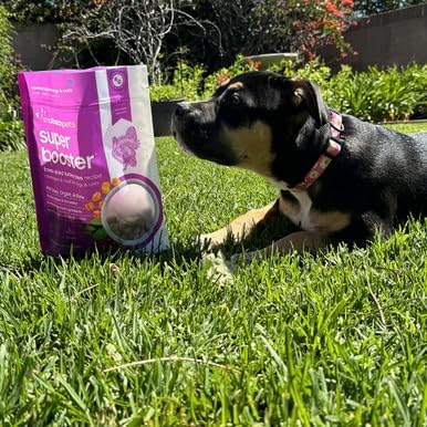 Smallbatch Freeze Dried Dog Treats, Superfood Food Topper Turkey Bites for Dogs &amp; Cats, Probiotics, Organic Ingredients, High Protein, Grain Free Healthy Treat &amp; Food Topper, Made in the USA, 7 oz Bag