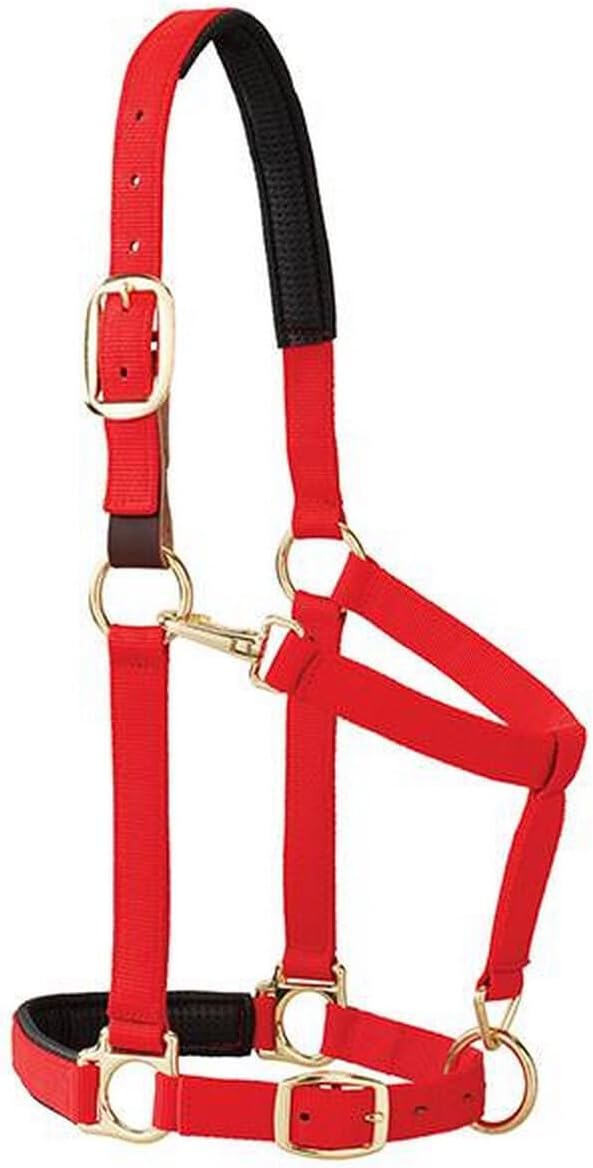 Weaver Equine Breakaway Horse Halter, Comfort Foam Padding, Adjustable Chin &amp; Throat Snap Halters for Horses, Equine Tack,Average Size, Purple