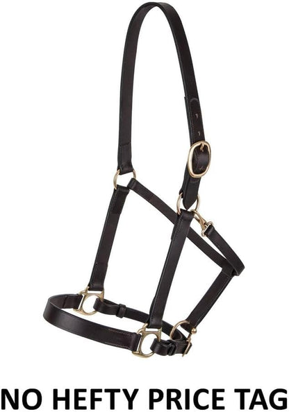 Dura-Tech Premier Lancaster Leather Halter for Horses | Simple Economy Leather Halter with Adjustable Fit &amp; Solid Brass Hardware